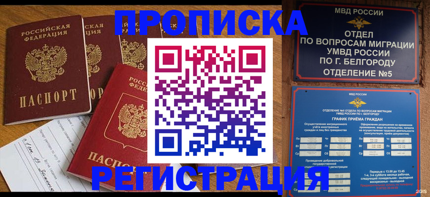 форма 3 в Петропавловске-Камчатском